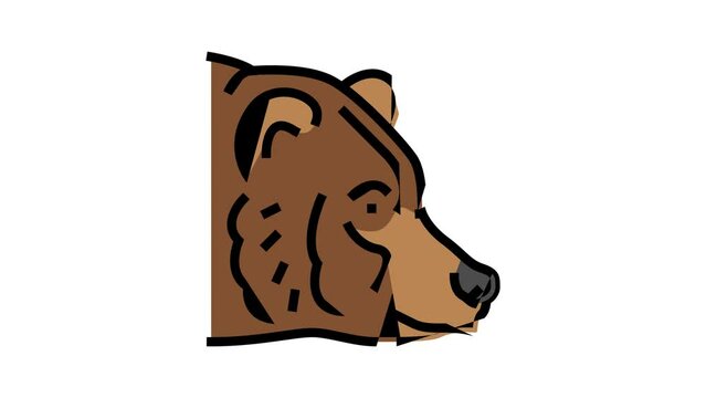 bear animal zoo color icon animation