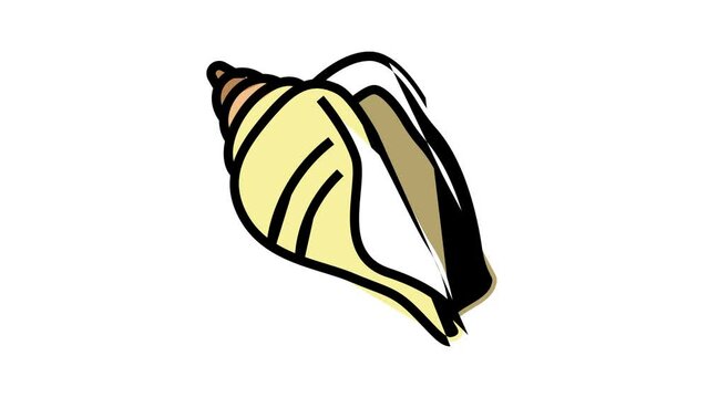 strombus sea shell beach color icon animation