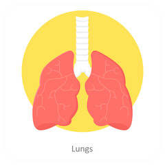 Lungs