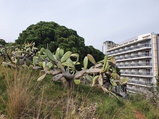 abandoned hotel during the covid epidemic in spain