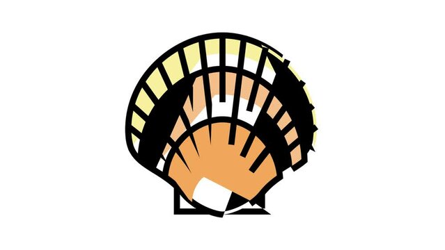 scallop sea shell beach color icon animation