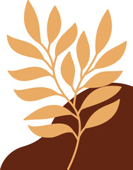 Aesthetic Plant Corner