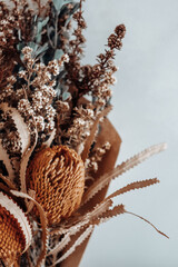 Close up of dried banksia Australian natives against plain backdrop