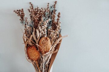 Dried native Australian banksia flowers against a plain backdrop