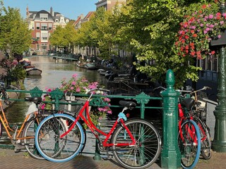 Fototapeta na wymiar View of bicycles and beautiful plants near canal on city street