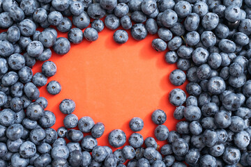 Beautiful fresh large blueberry on a red background