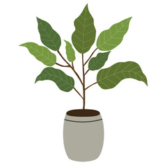 Minimalistic Style Potted Houseplant