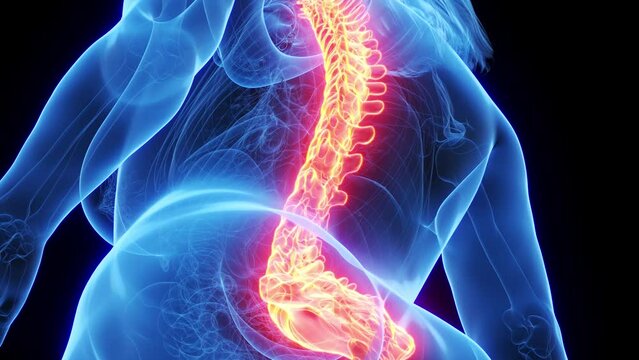 3d rendered medical animation of the backbone of a woman
