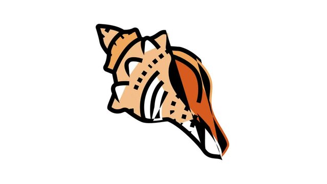conch sea shell beach color icon animation