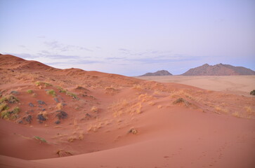Amazing View from dune in dry pan of Sossusvlei Namib Naukluft National Park