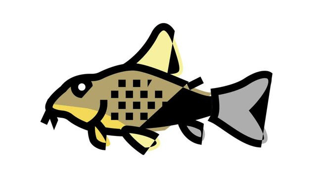 cory catfish color icon animation