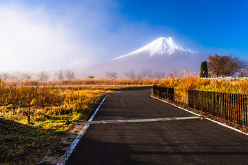 富士山につづく道