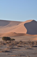 Fototapeta na wymiar Landscape with dunes in dry pan of Sossusvlei Namib Naukluft National Park