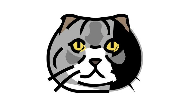 scottish fold cat cute pet color icon animation
