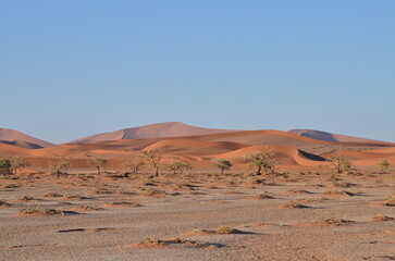Fototapeta na wymiar Landscape with dunes in dry pan of Sossusvlei Namib Naukluft National Park