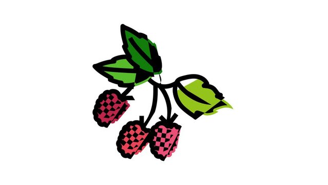 raspberry plant delicious color icon animation