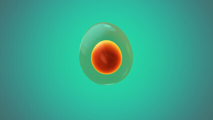 Human cell or Embryonic stem cell