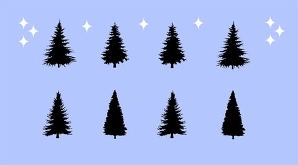 Fototapeta premium Pine tree