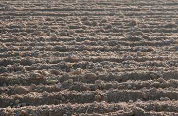 Blick auf einen frisch gepflügten Acker im sanften Licht des Nachmittags