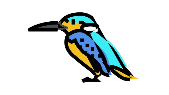 kingfisher bird exotic color icon animation