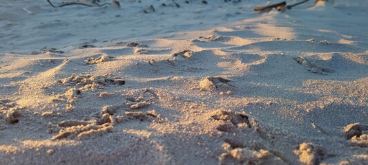 Morning Beach