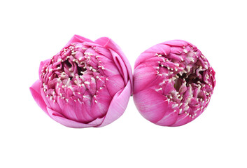 Lotus flower isolated  transparene png