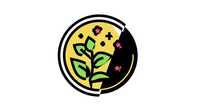 herbal natural cosmetic color icon animation