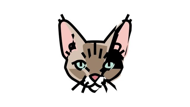 devon rex cat cute pet color icon animation