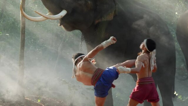 Two Young males wearing Thai tradition short, head and hands wrapped in twisted hemp rope and showing beautiful fighting art of Muay Thai, Blurred elephants and spreading white mist in background