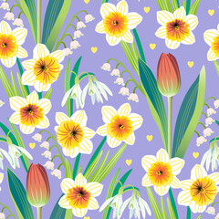 Vector seamless pattern with spring flowers daffodils, tulips, lilies of the valley and snowdrops. - 550796147