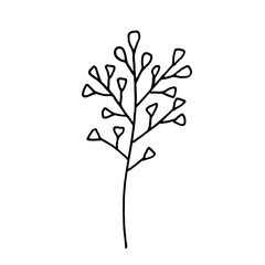 Obraz premium Dry winter twigs, flowers and berries. Black and white sketch. Hand drawn vector illustration.