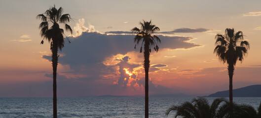 Sun setting over the sea with dramatic clouds and foreground palm trees