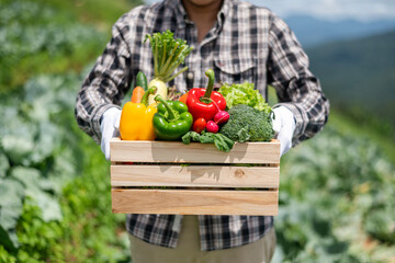 Farmer man holding wooden box full of fresh raw vegetables. Basket with fresh organic vegetable  and peppers in the hands..