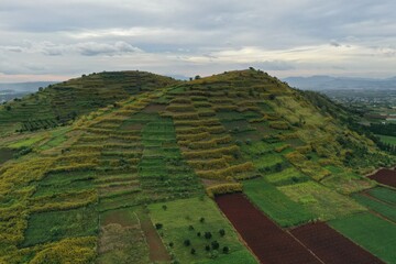 view from the top of the hill