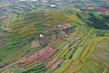 aerial view of village in the countryside