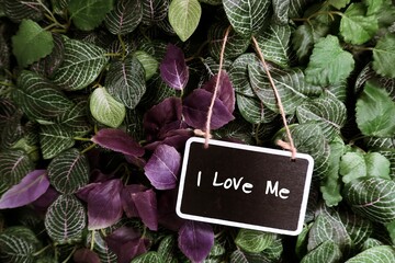 Cute black chalkboard haging in the green garden with text handwritten I LOVE ME, concept of self love, self esteem, self confidence