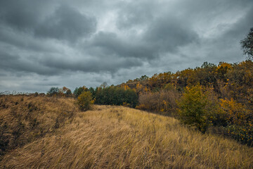Fototapeta premium autumn wildlife in the countryside