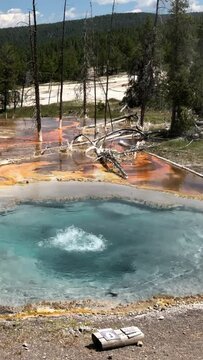 Steady vertical footage of the Celestine Pool boiling at the Lower Basin geyser, Yellowstone National Park.
