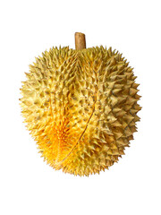  tropical fruit durian