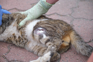 help of medicine doctor