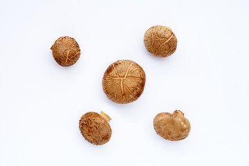 Fresh shiitake mushrooms on white