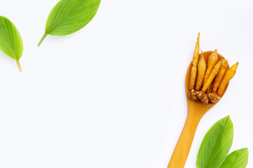 Fingerroot on a white background.