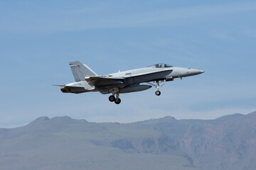 Avión de combate aterrizando