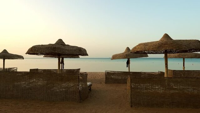 Luxury sand beach with beach chairs and umbrellas in tropical resort in Red Sea coast, Egypt, Africa. 60 fps
