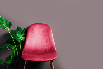 Modern Velour Chair Viva Magenta, color of the year 2023on wooden legs, grey background - obrazy, fototapety, plakaty