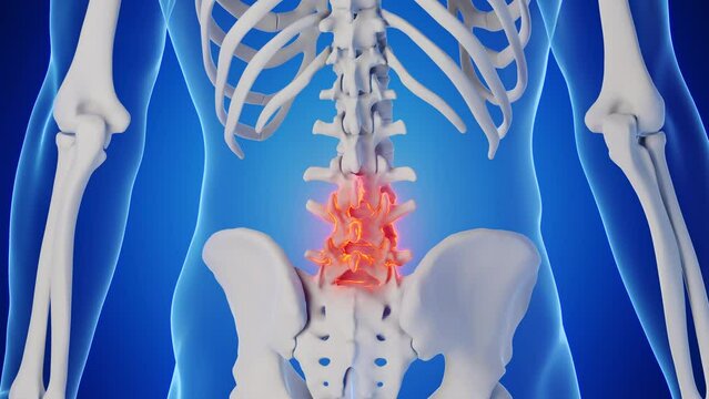 3d rendered medical animation of a man's lower backbone