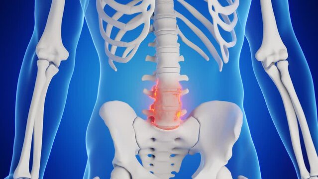 3d rendered medical animation of a man's lumbar spine