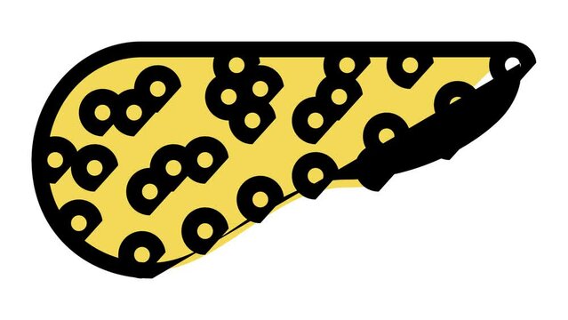 pancreas human color icon animation