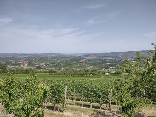 Panoramic view of the valley of Barolo in summer