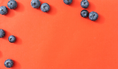 large blueberry on a red background